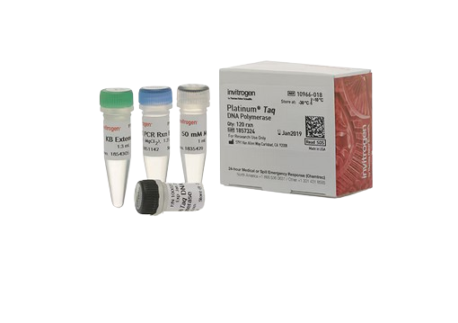 Platinum Taq DNA Polymerase